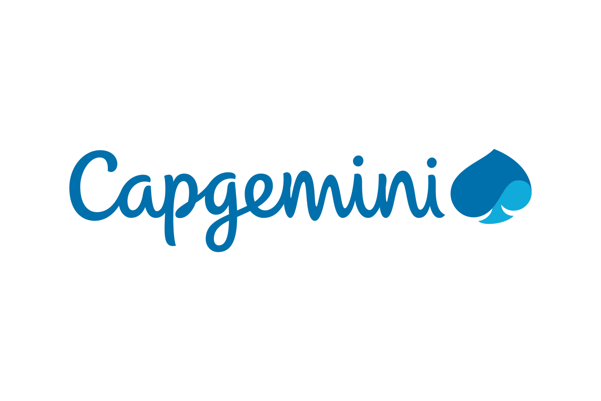 .NET Full Stack Developer Opportunity in New York